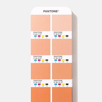 Amazon | PANTONE 色見本 GP5101C CMYK coated & Uncoated